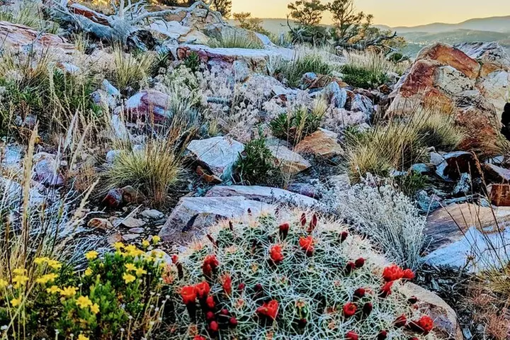 Family-Friendly Nature Hike around the Big Bear Valley