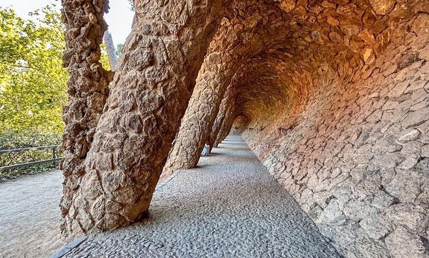 Image 16: Tour por la tarde del Park Güell