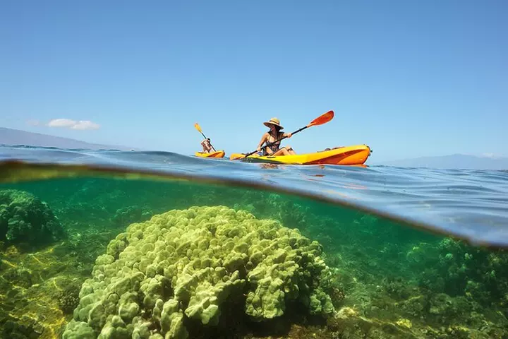 Kayak and Snorkel: Maui West Shore