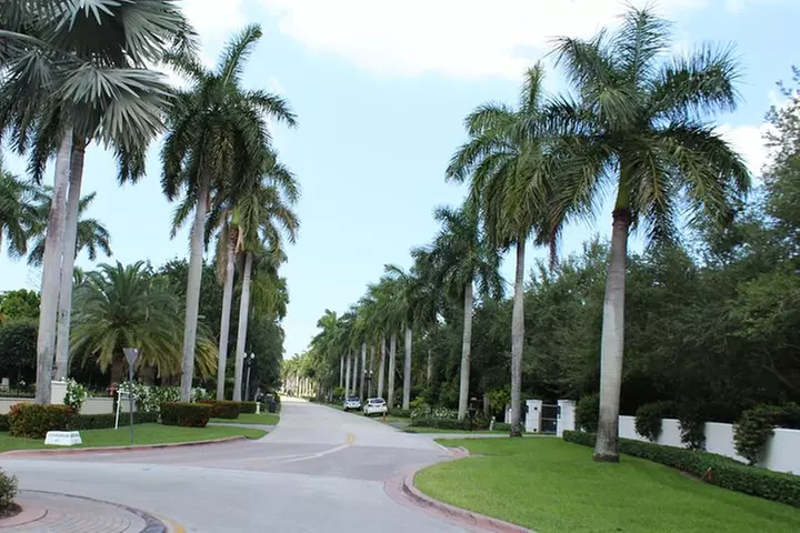 Everglades & Miami city tour with experienced guide in small group