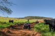 Deluxe ATV Waterfall and Swim Experience - Second Medium