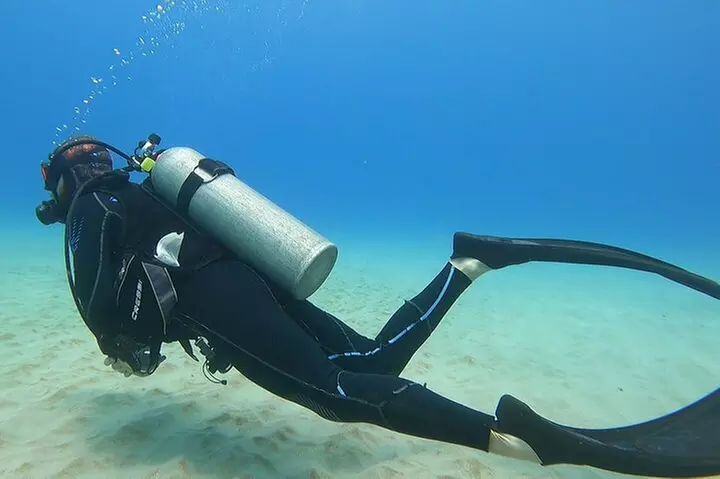 SCUBA Dive at Electric Beach with Photos -No Certification Needed