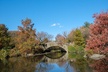 Central Park Private Pedicab Tour (60 mins) - Second Medium