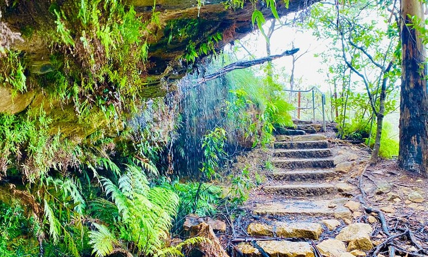 Image 8: Sydney: PRIVATE Blue Mountains, Wildlife & Cruise Luxe Tour (10h)