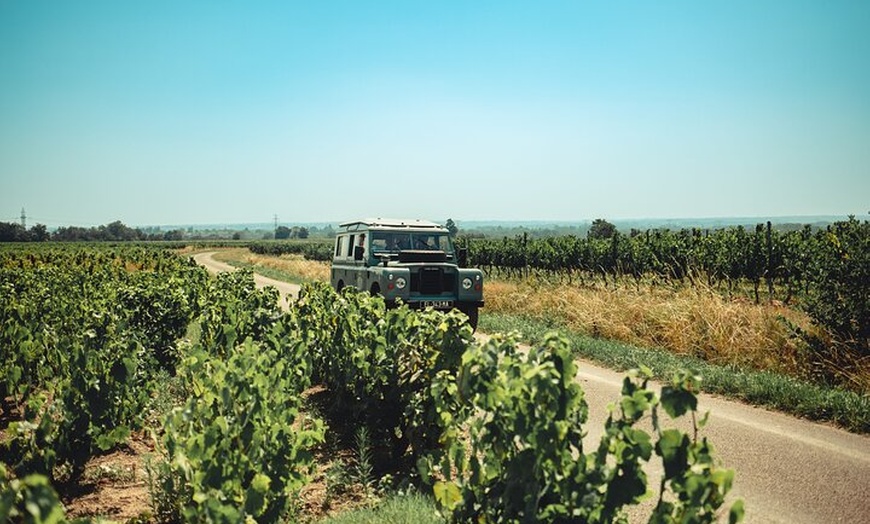 Image 7: Excursion privée d'une journée au départ de Lyon en Beaujolais
