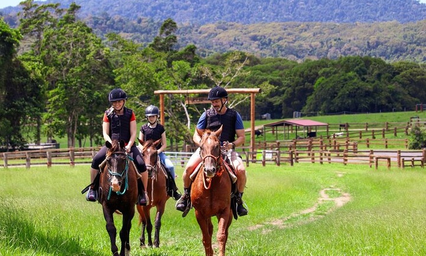 Image 4: Horse and Quad bike tour with a visit to a Petting Zoo