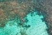 Puerto Morelos Catamaran Reef Sail and Snorkel - Second Medium