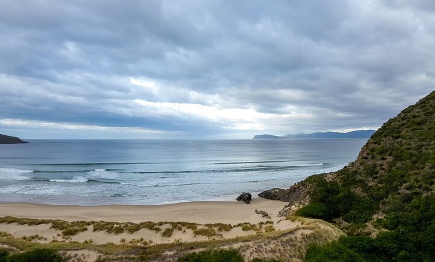 Image 11: Bruny Island Nature and Tasting Active Day Tour