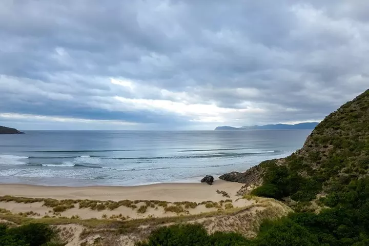 Hobart: Bruny Island Adventure: Hiking, Highlights & Local tastes