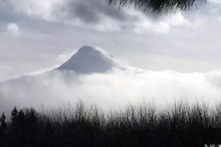 The Hood-Columbia Loop: Timberline, Orchards, and Waterfalls