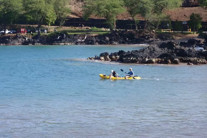 South Shore Turtle Kayak and Snorkel Experience