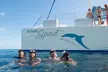 Exclusive Honolua Snorkel Sail - Second Medium