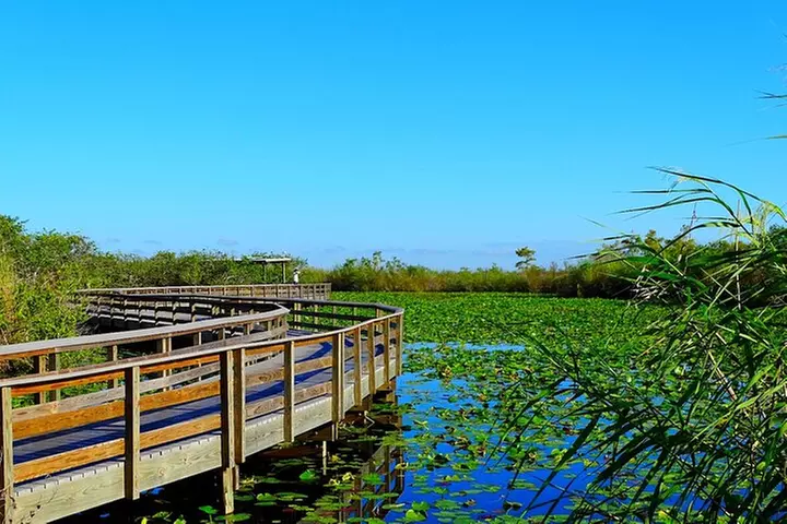 Everglades National Park: Self Guided Driving Audio Tour