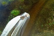 60 min. Everglades Airboat ride & pick-up ,small group +pro guide - Second Medium