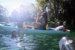 Premium Double Kayak Rental for 2 People in Crystal River Florida - Second Medium
