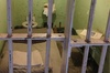 Alcatraz Prison Tour + Audio Tour & Ferry Rides + San Francisco Bay Cruise Tour
