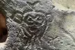 Taino Indian Cave, Arecibo Hike and Beach Tour from San Juan - Second Medium