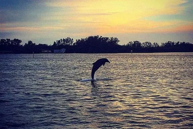 Anna Maria Island Dolphin Sunset Tour - Primary Image
