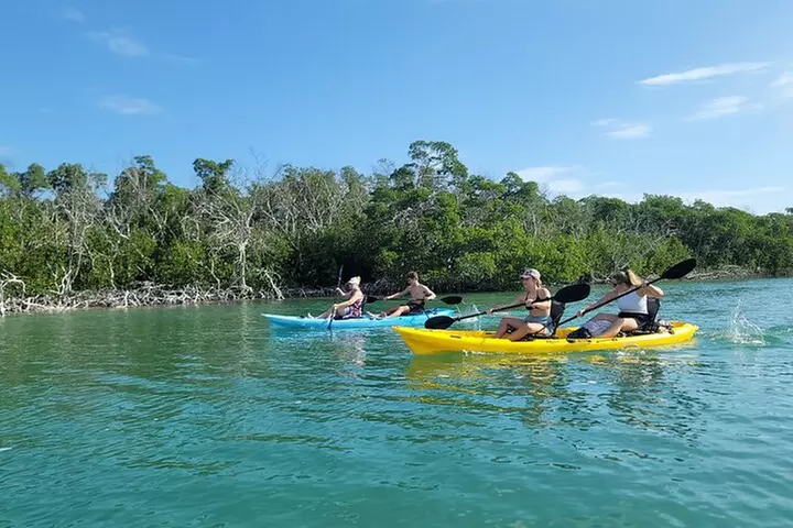 Kayak through Mangrove Forests in the Florida Keys