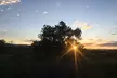 In the Footsteps of the Explorers, Fort Collins Walking Tour - Second Medium