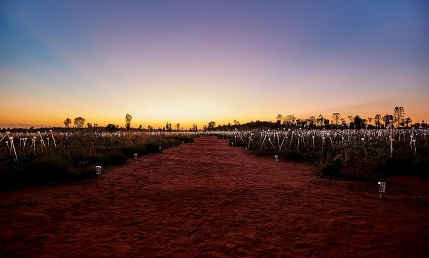 Image 7: Uluru (Ayers Rock) Field of Light Sunrise Tour