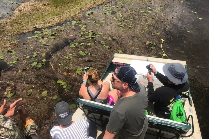 Private 1-Hour Airboat Tour of Miami Everglades - Primary Image