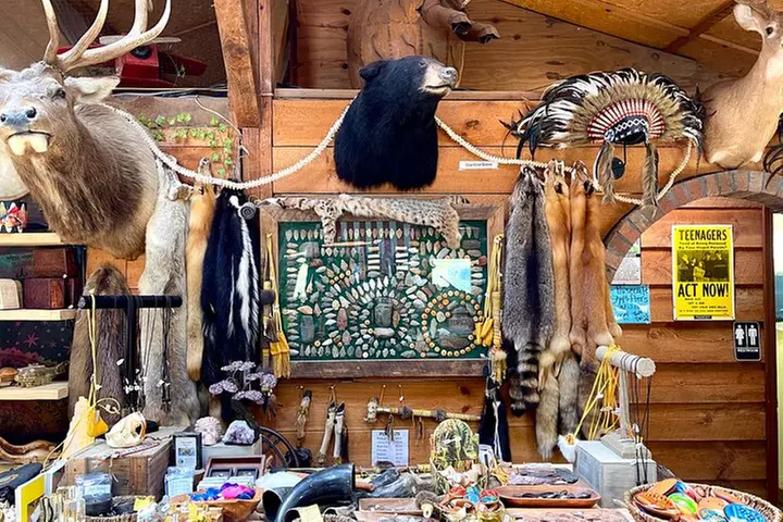 Gem Mining and Goat Farm Walking Tour in Hendersonville - Second Medium