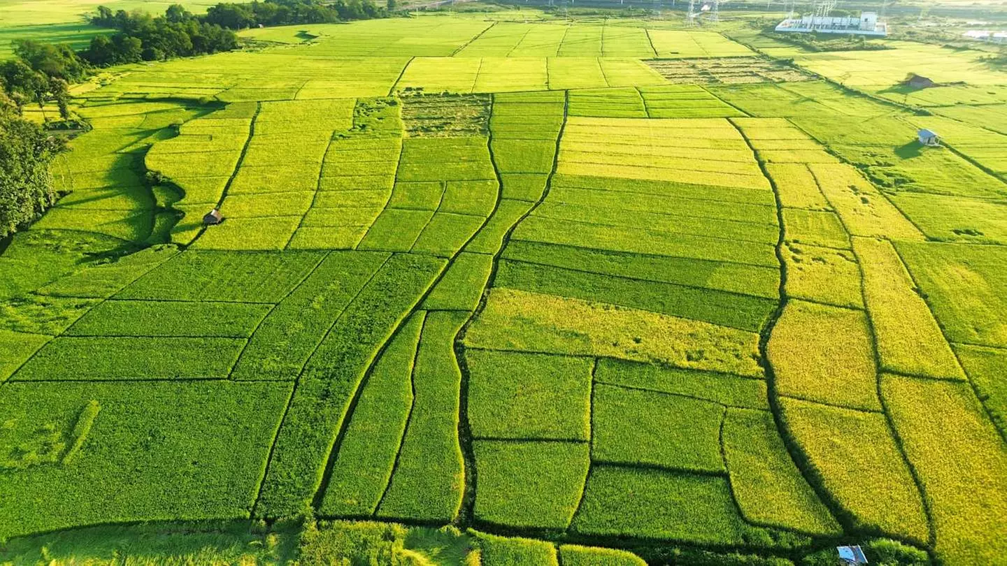 ✈ LAOS | Luang Prabang - Entdecken Sie das wilde, spirituelle und a...