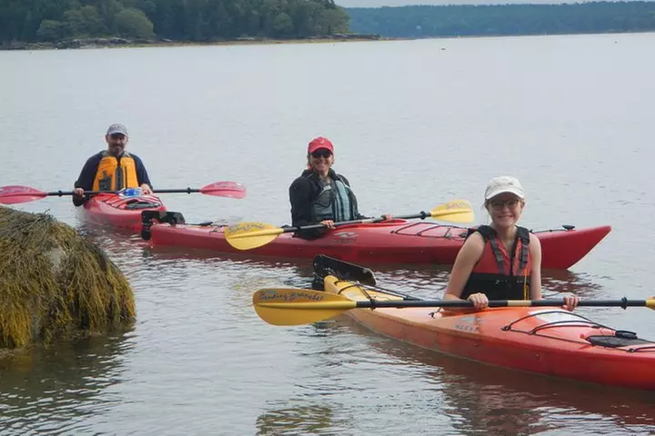 Oyster Farm & Complimentary Tasting Sea Kayak Tour in Casco Bay