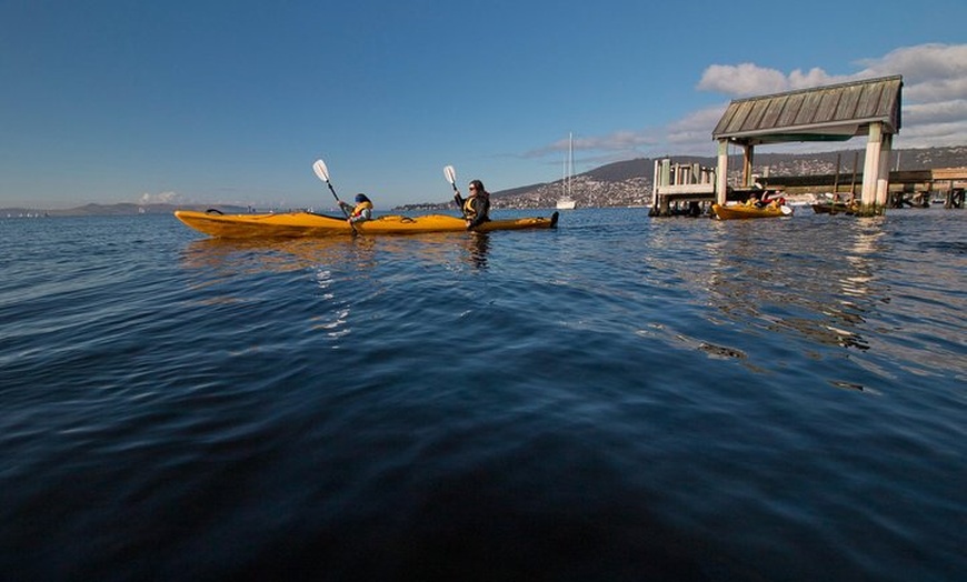 Image 3: Hobart Kayak Tour