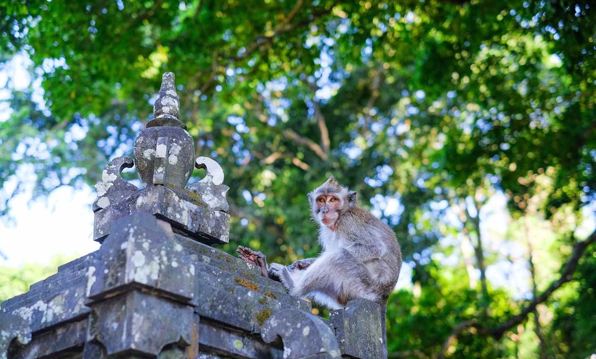 Image 7: ✈ INDONESIEN | Bali - Das Wesentliche von Bali in 6 Nächten 4* - Ru...