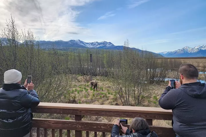 Valley of Glaciers Experience with Portage Glacier Cruise and Wildl...