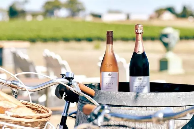 Yarra Valley Wine and Winery Tour from Melbourne - Primary Image