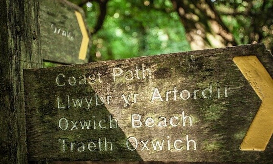 Image 8: Private Tour: The Gower - Mumbles, Three Cliffs And Worms Head