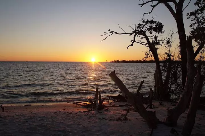 Manatee, Dolphin and 10,000 Islands Sunset Cruise!