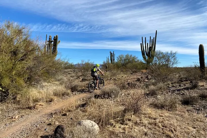 3 Hour Sonoran Desert Private Guided Mountain Bike Tour