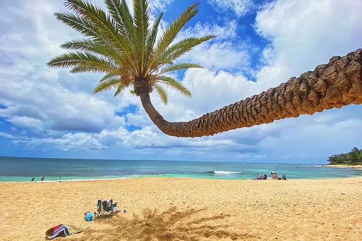 Diamond Head Hiking and Oahu Island Experience feat. North Shore
