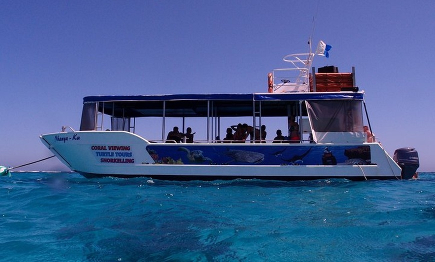 Image 3: Coral Bay 1-Hour Coral Viewing