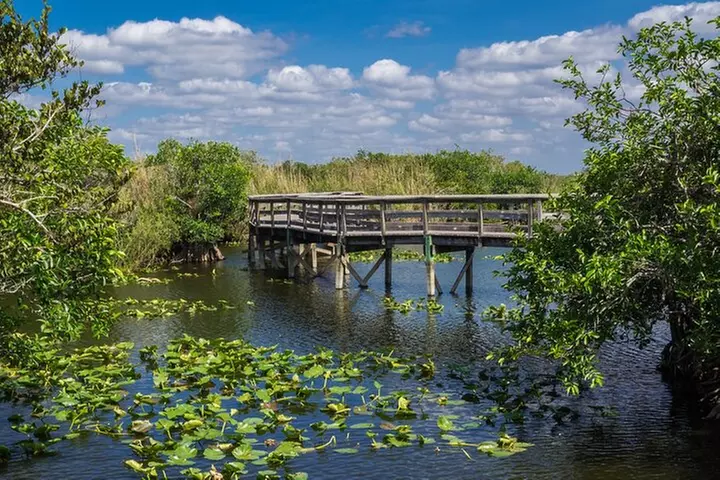 Everglades National Park: Self Guided Driving Audio Tour