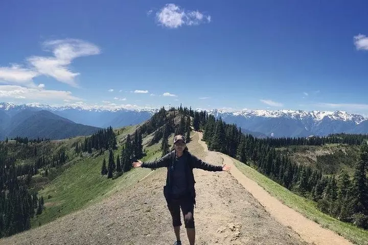 Best of Olympic National Park from Seattle: All-Inclusive Small-Gro...