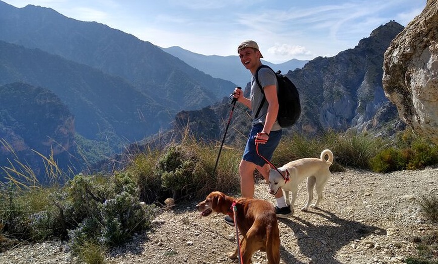 Image 8: NUEVO:Sunset Hike & Summit Sierra Nevada - Tour privado con cachorro