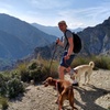 Image 8: NUEVO:Sunset Hike & Summit Sierra Nevada - Tour privado con cachorro