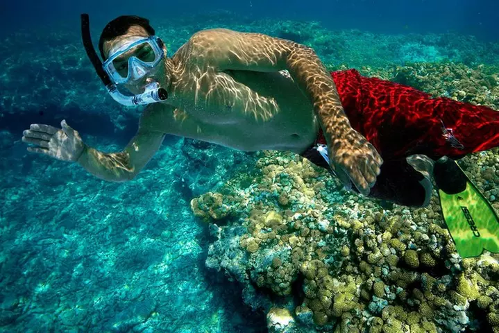 Key West Rum and Reggae: Reef Snorkel Adventure and Sunset Sail