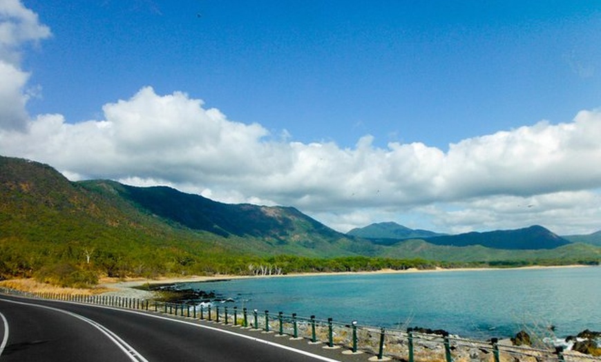 Image 9: Cape Tribulation, Mossman Gorge, and Daintree Rainforest Day Trip