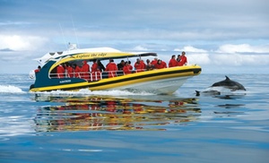 Pennicott Wilderness Journeys