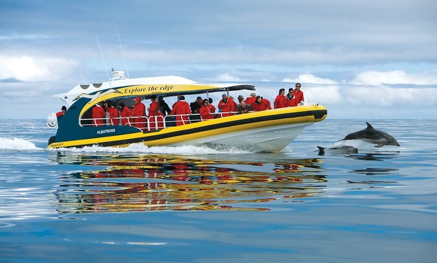 Image 5: Tasman Island Cruises Day Tour from Hobart