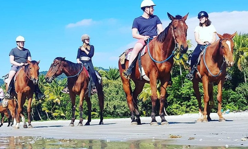 Image 1: Afternoon Beach Horse Ride in Cape Tribulation