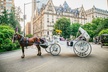 Official Private New York City Central Park Horse Carriage Ride Since 1965™ - Second Medium