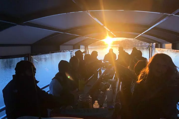 New Orleans Bayou and Swamp Tiki Boat Tour