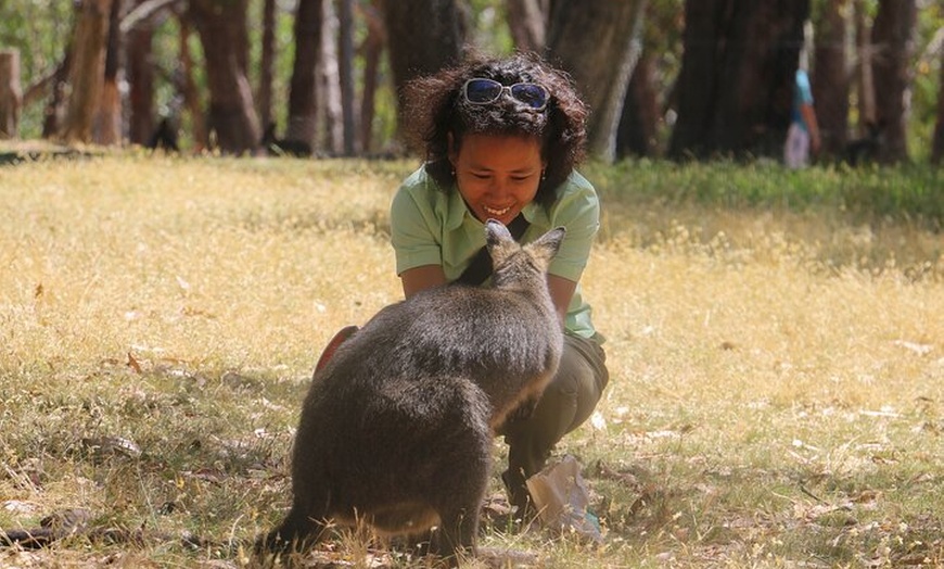 Image 7: Cleland Wildlife Park Experience - from Adelaide including Mt Lofty...